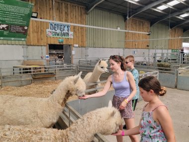 puxton park review, somerset, weston-super-mare, frugal mum