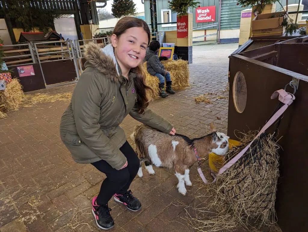 Kent with Kids: Rare Breeds Centre Review, Woodchurch Ashford, frugal mum guide