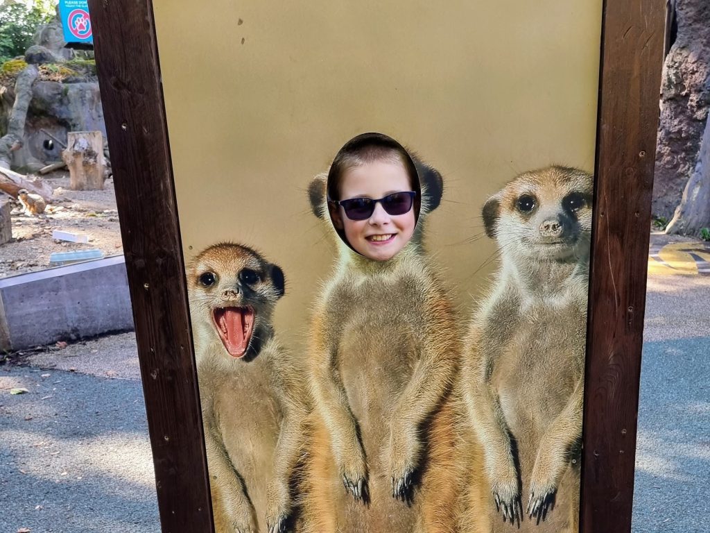 London with Kids, ZSL London Zoo Review - and discounts, frugal mum guide, photo of child in sign