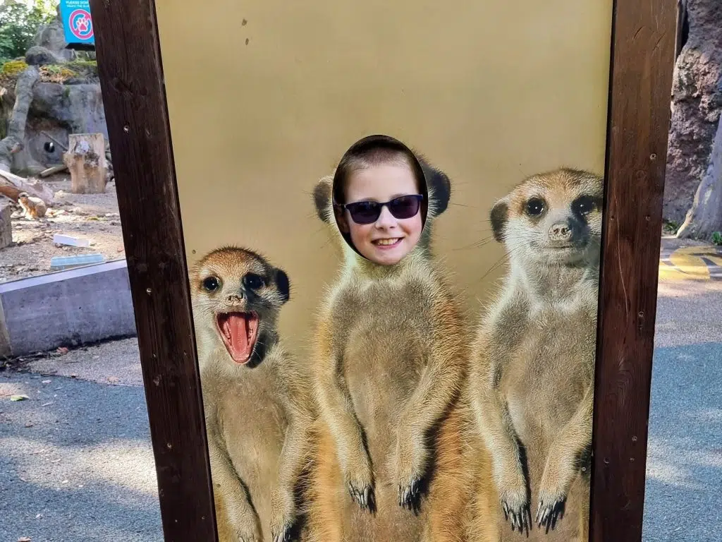 London with Kids, ZSL London Zoo Review - and discounts, frugal mum guide, photo of child in sign