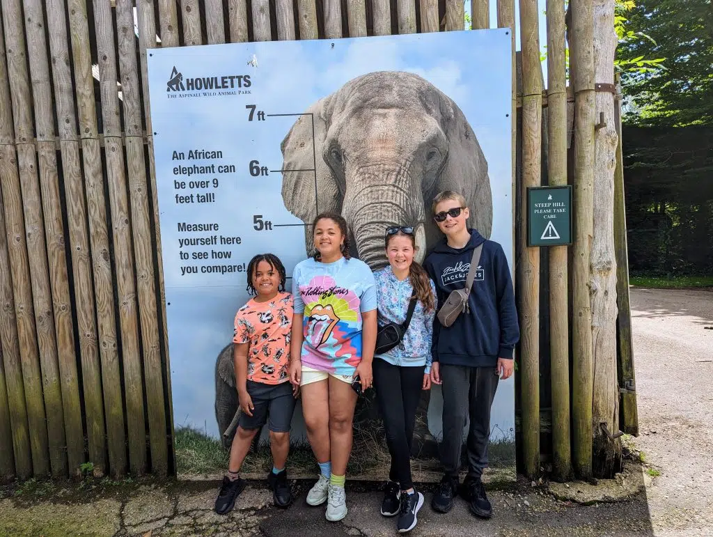 Kent with Kids, Howletts Wild Animal Park Review, frugal mum zoo review