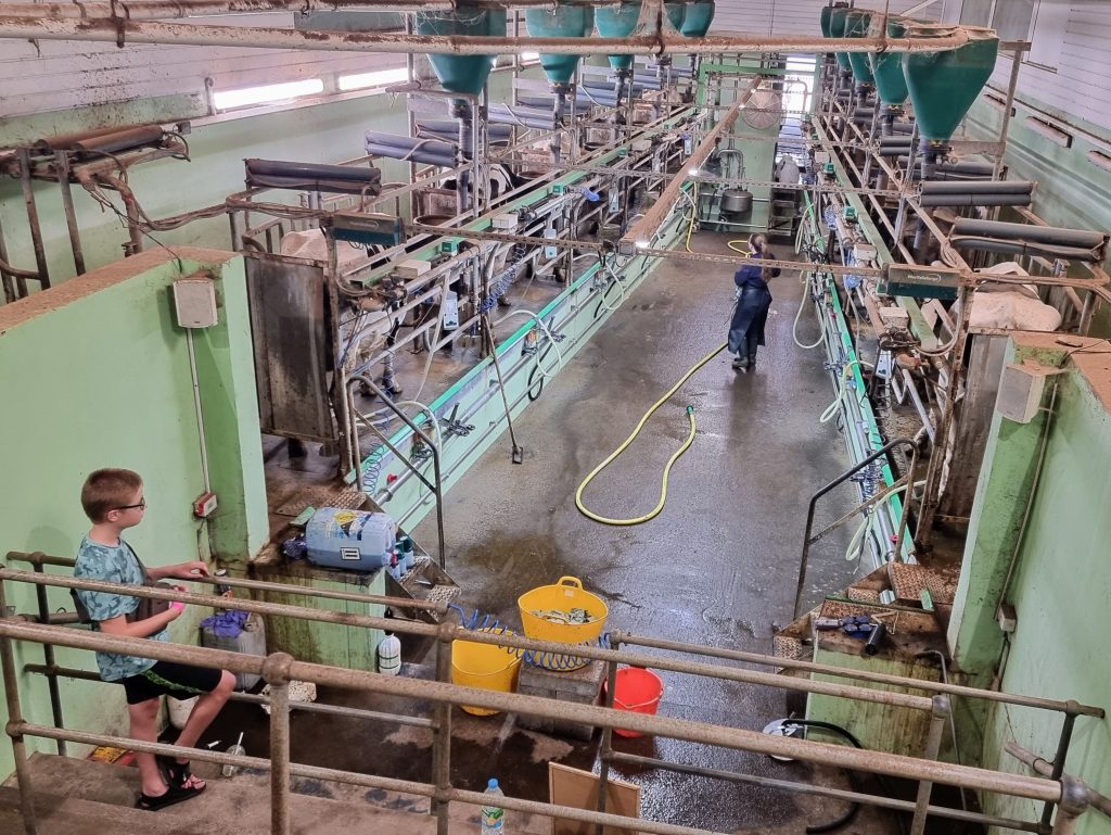 Somerset, Puxton Adventure Park review, frugal mum child photo at milk station