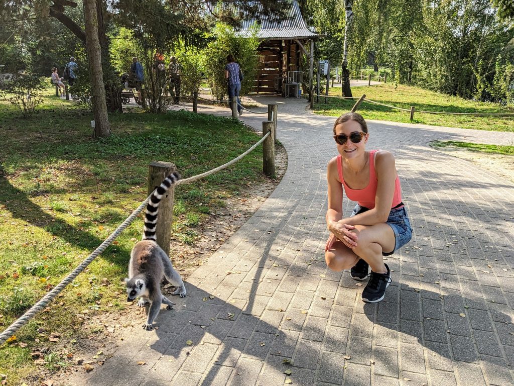 Eurocamp holiday, lake resort, frugal mum review photo, The Netherlands, Beekse Bergen Safari Zoo, walking safari, lemurs