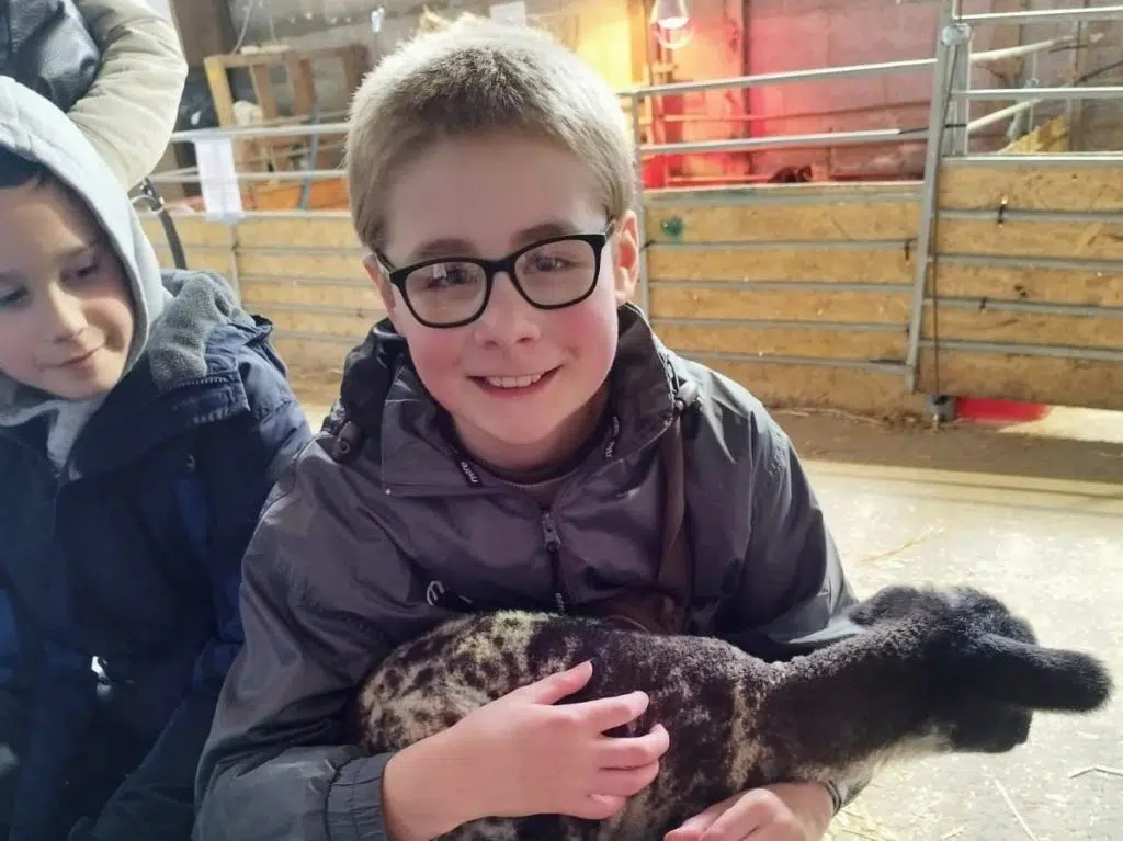 cheap days out with the kids, weekend, school holidays budget family fun guide, frugal mum, photo of lamb with child