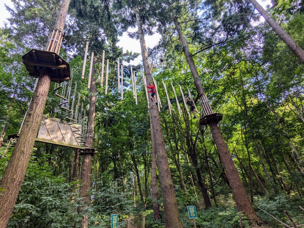 go ape leeds castle guide and review, frugal mum photo, treetop adventure course, kent