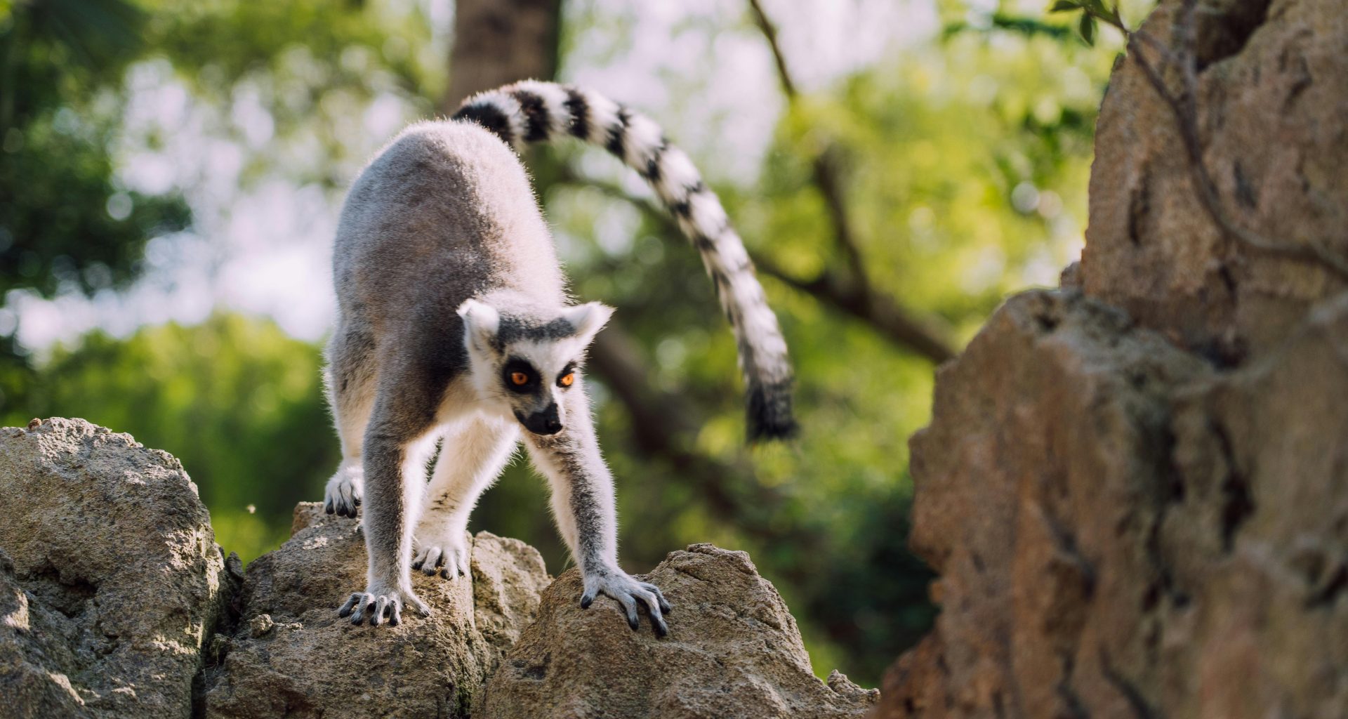 Spain with Kids, The 10 best family days out, frugal mum travel guide