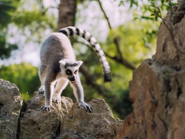 Spain with Kids, The 10 best family days out, frugal mum travel guide