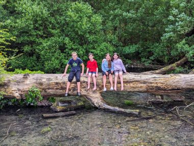 kearsney abbey and russell gardens review, dover, kent, free day out, frugal mum guide