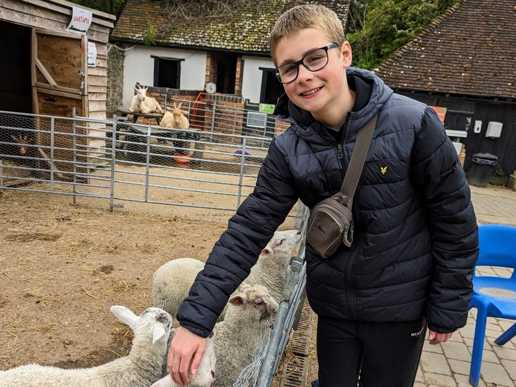 Kent with Kids, Kent Life Farm Park Review, Maidstone, frugal mum guide, photo of sheep and child