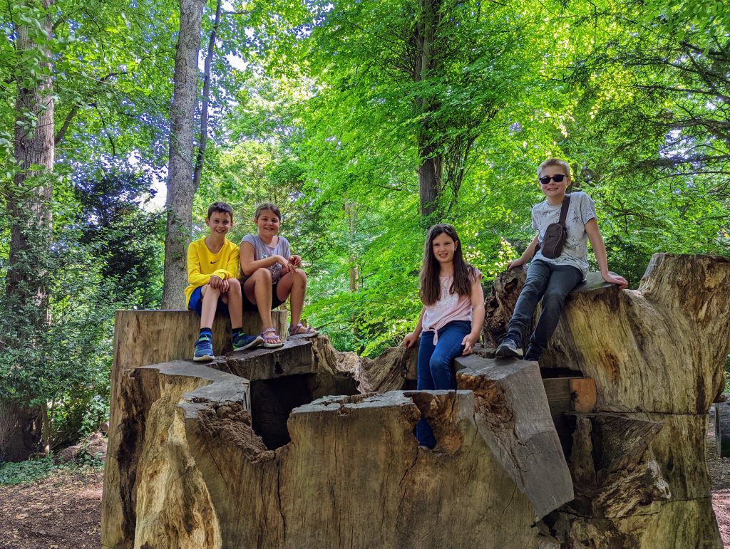 English Heritage, Visiting Walmer Castle with kids, a fun family day out guide, frugal mum photo of children in woodland