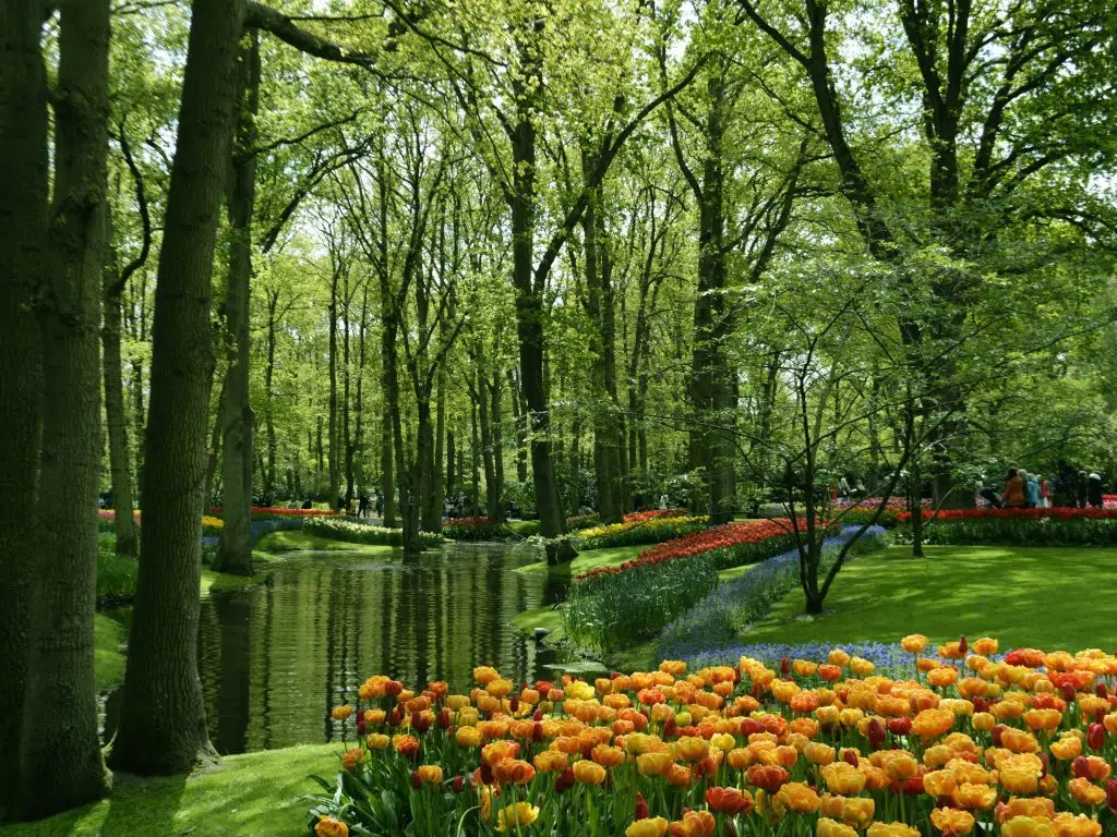 Duinrell Holiday and theme park, frugal mum review, the Netherlands, photo of Keukenhof tulips