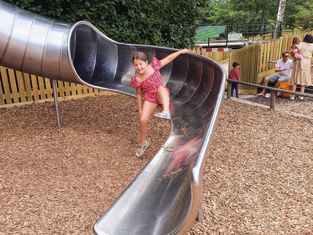 The Ultimate Guide to visiting Moors Valley Country Park with kids, frugal mum travel guide, photo of child on slide
