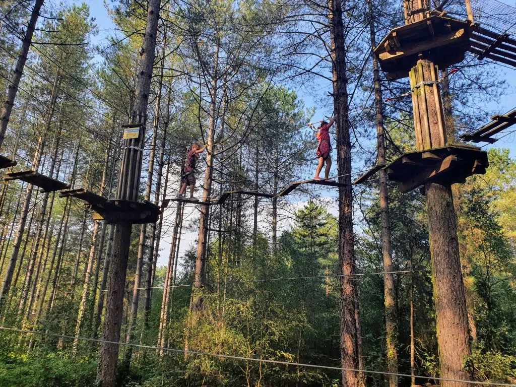 10 best things to do in the new forest with kids, frugal mum guide