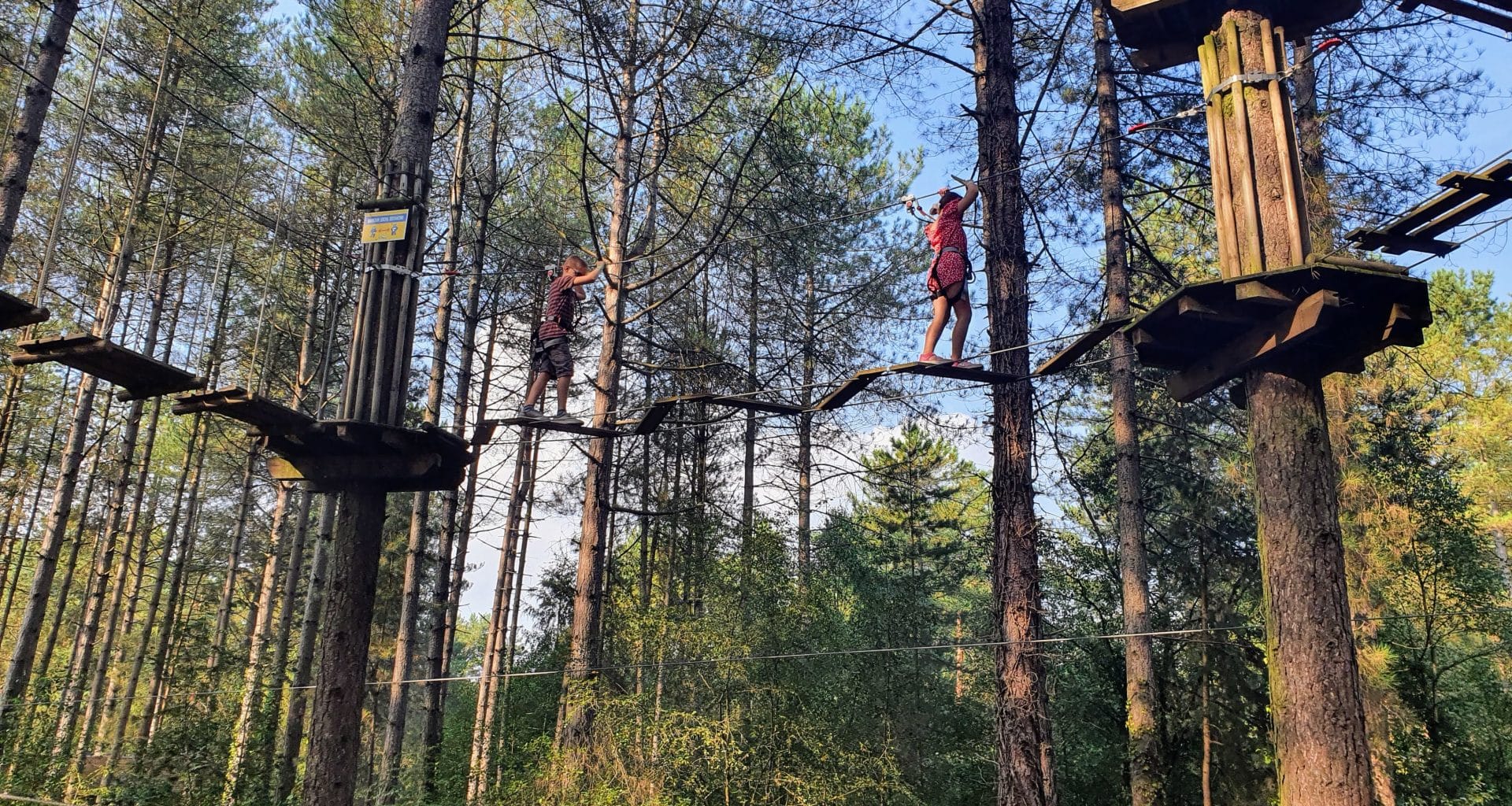 10 best things to do in the new forest with kids, frugal mum guide