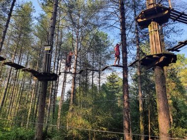 10 best things to do in the new forest with kids, frugal mum guide