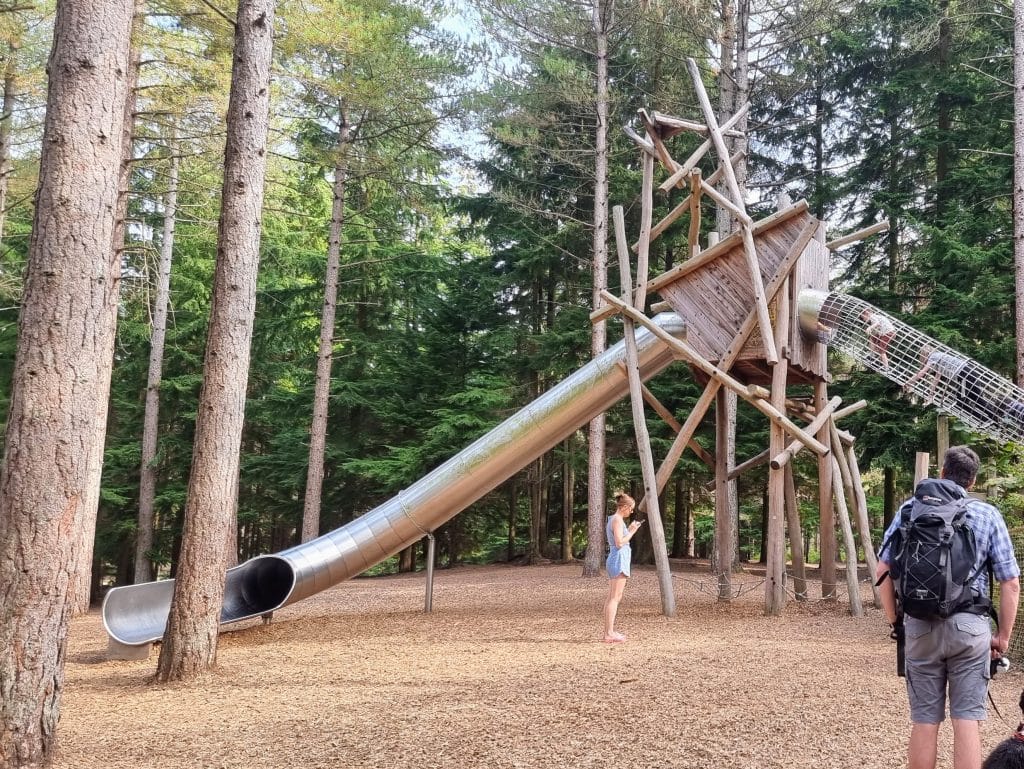 The Ultimate Guide to visiting Moors Valley Country Park with kids, frugal mum travel guide, photo of slide