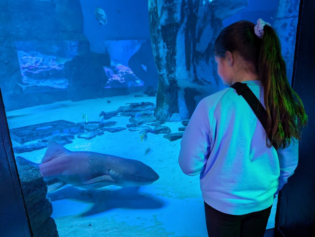 London with Kids, rainy day indoor attractions, frugal mum travel guide, photo of sea life london aquarium
