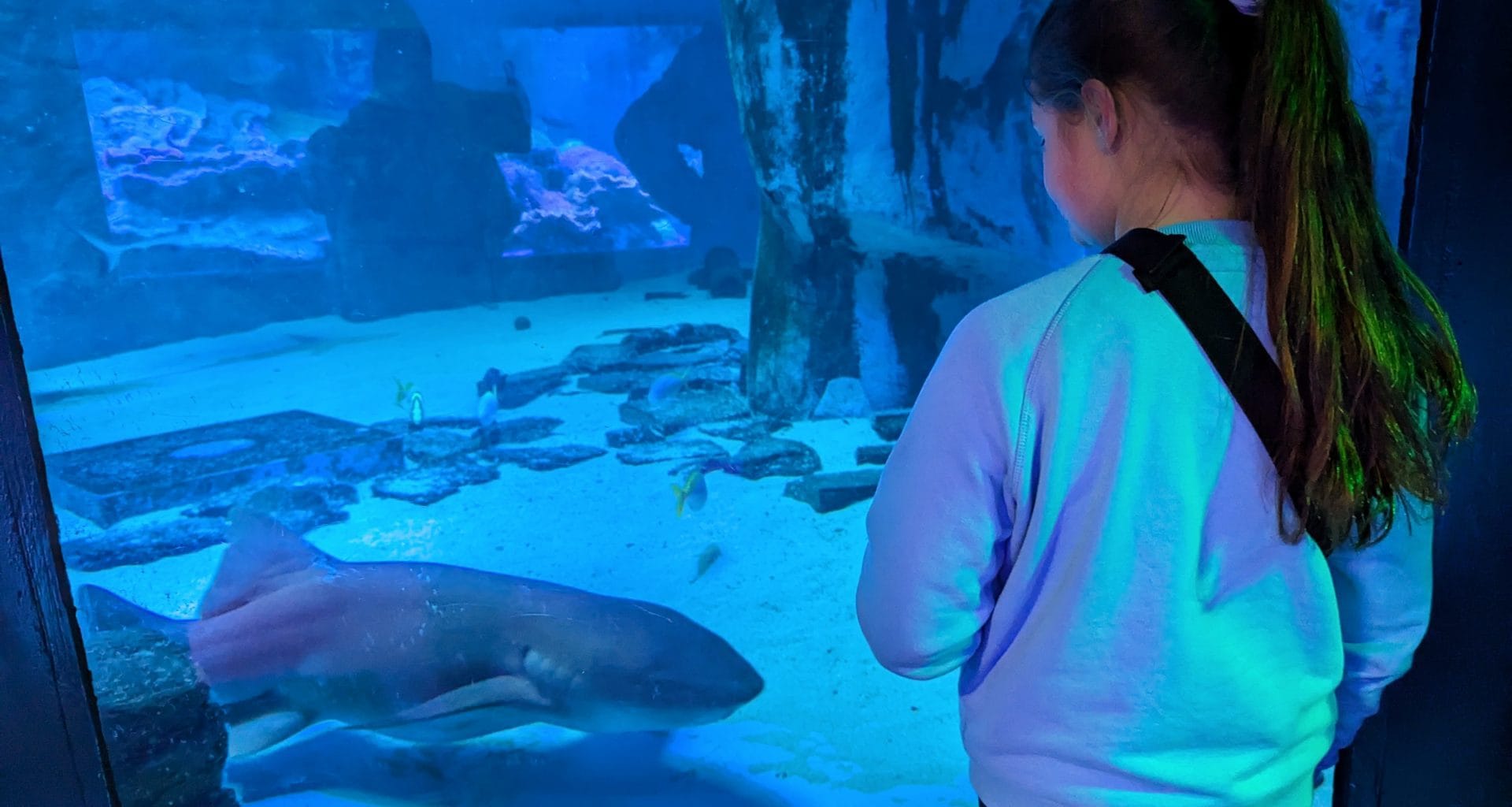 Merlin London Pass Deal 5 Attractions + FREE Theme Park Ticket