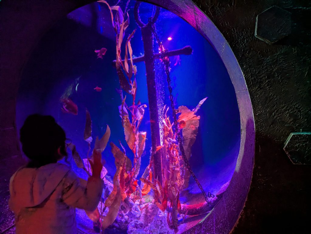 SEA LIFE London Aquarium Review and money-saving tips, frugal mum guide, photo of colourful tank