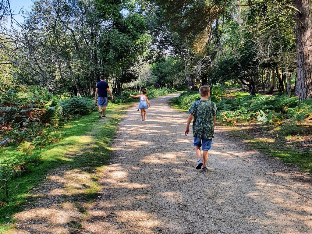 New Forest with Kids, best family holiday parks, frugal mum guide