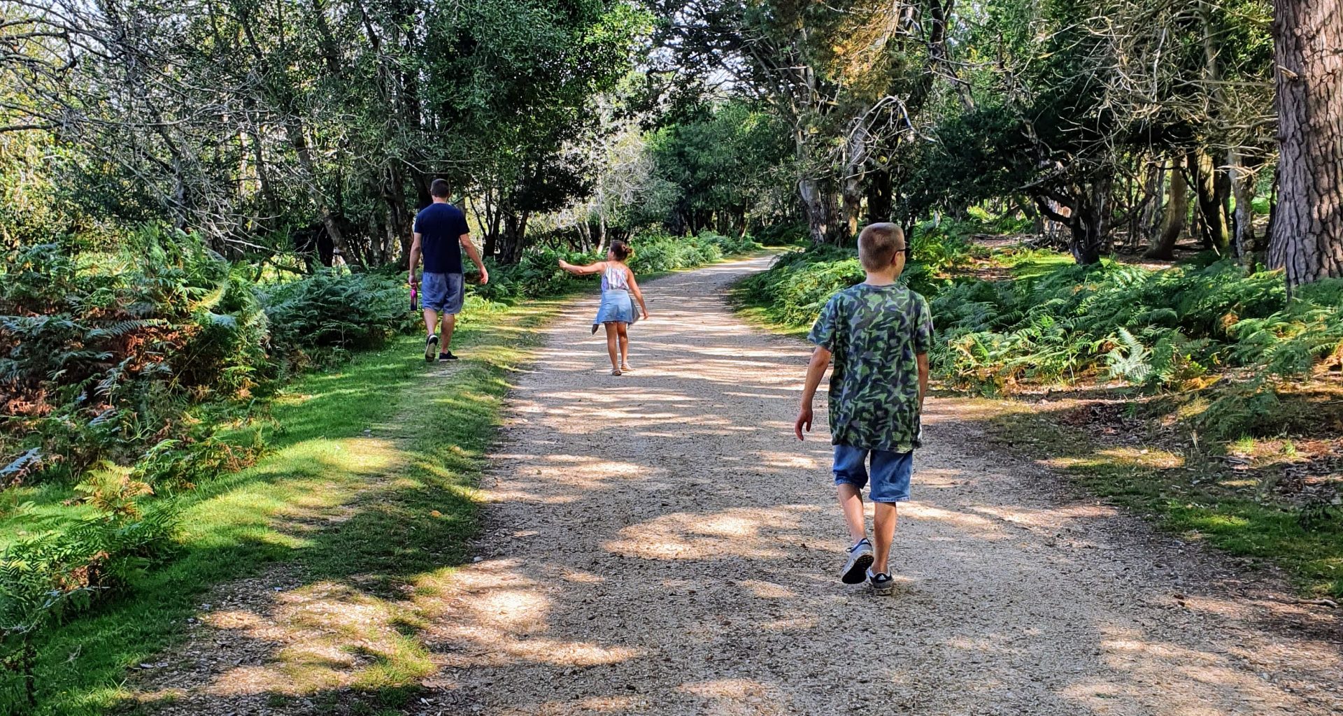 New Forest with Kids, best family holiday parks, frugal mum guide