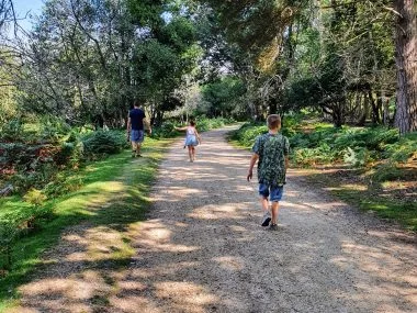 New Forest Family Holidays, Best Holiday Parks for Kids, frugal mum guide