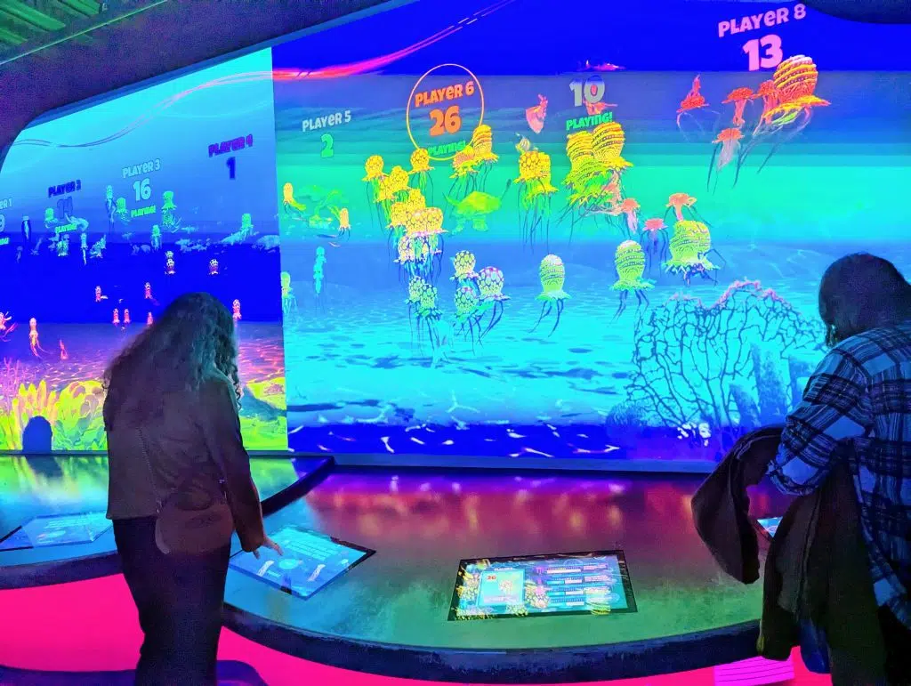SEA LIFE London Aquarium Review and money-saving tips, frugal mum guide, photo of game
