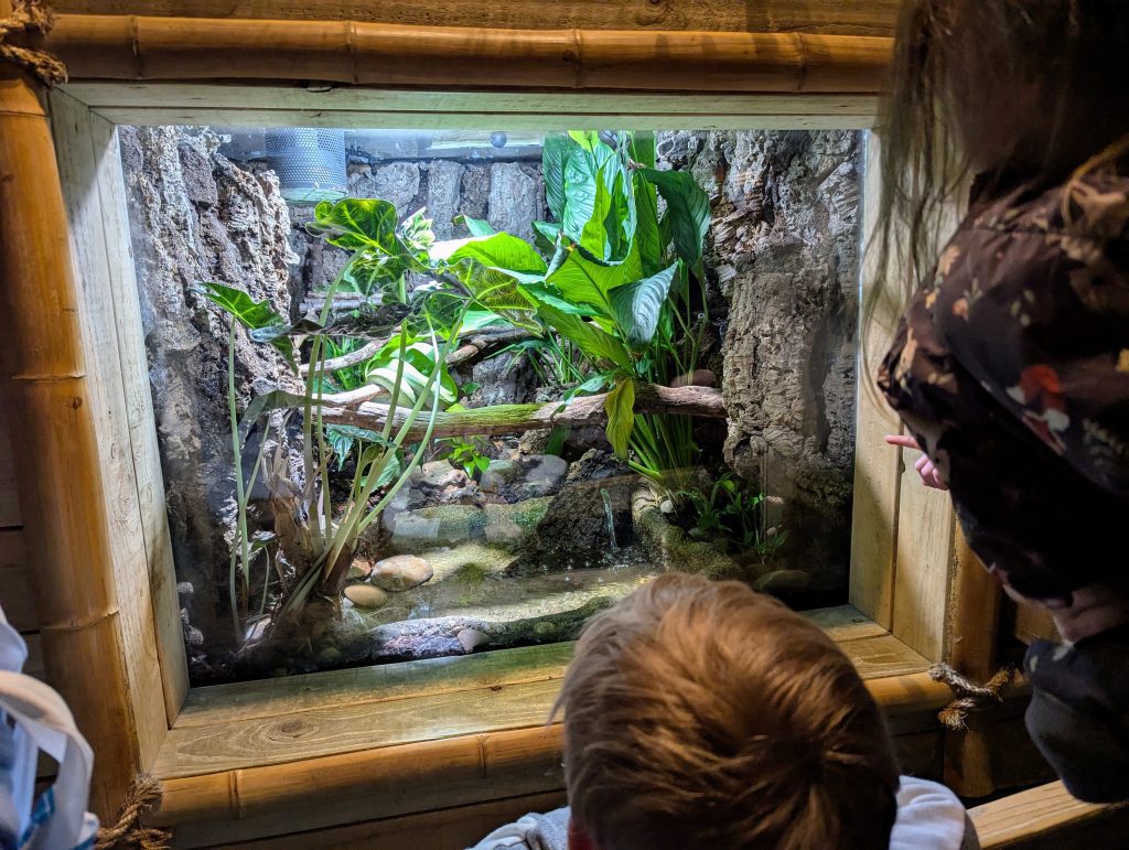 SEA LIFE London Aquarium Review and money-saving tips, frugal mum guide, photo of snake tank