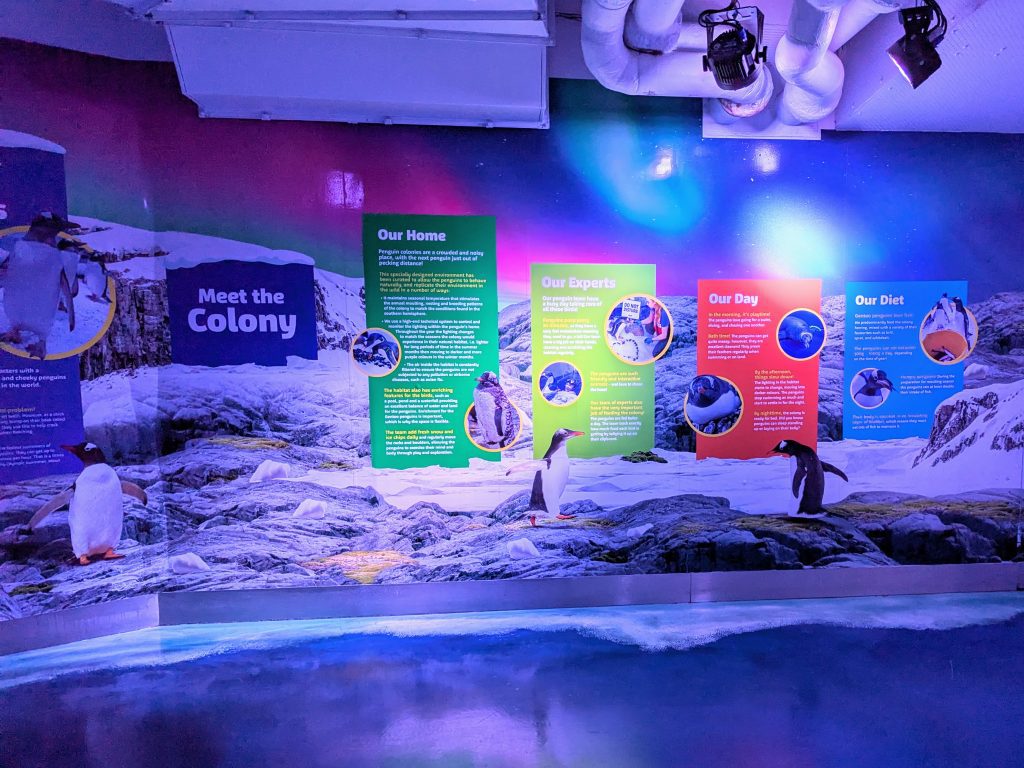 SEA LIFE London Aquarium Review and money-saving tips, frugal mum guide, photo of learning boards
