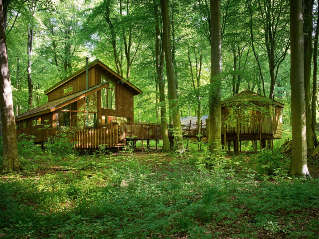 New Forest with Kids, best family holiday parks, frugal mum guide, photo of blackwoofd forest holiday park, forest holidays UK, hampshire