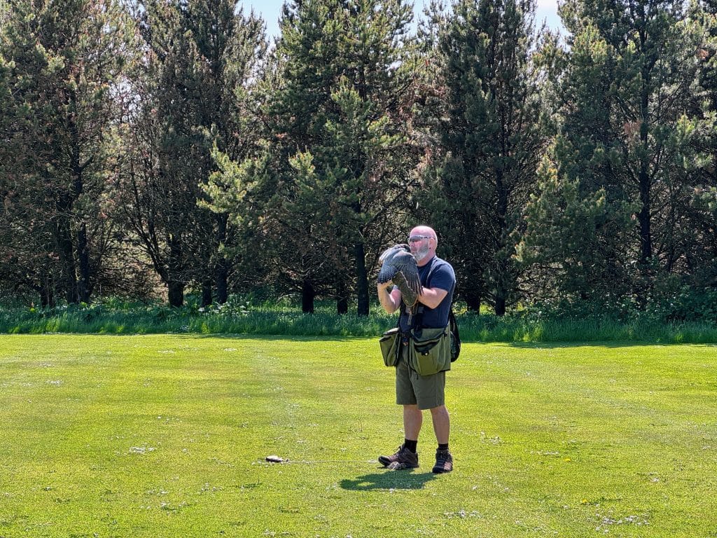 North Devon with Kids, The Milky Way Adventure Park Review, frugal mum travel guide, photo of birds of prey