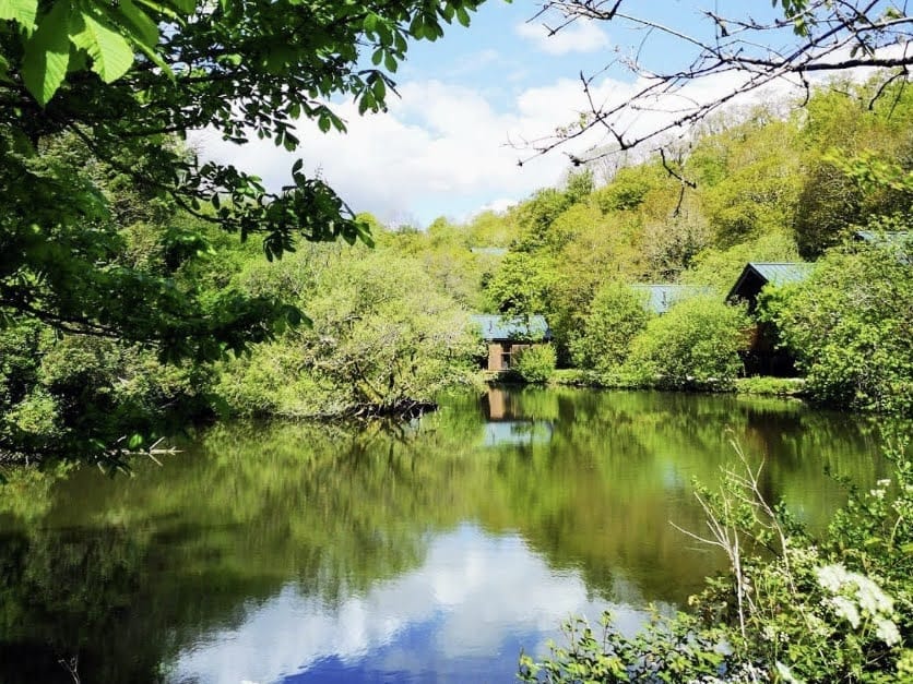 where to stay, the best holiday parks in Cornwall for kids, family holidays, frugal mum guide, uk staycation, photo of forest holidays deerpark