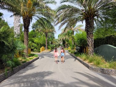 Do you need travel insurance with a GHIC/EHIC card, frugal mum travel guide