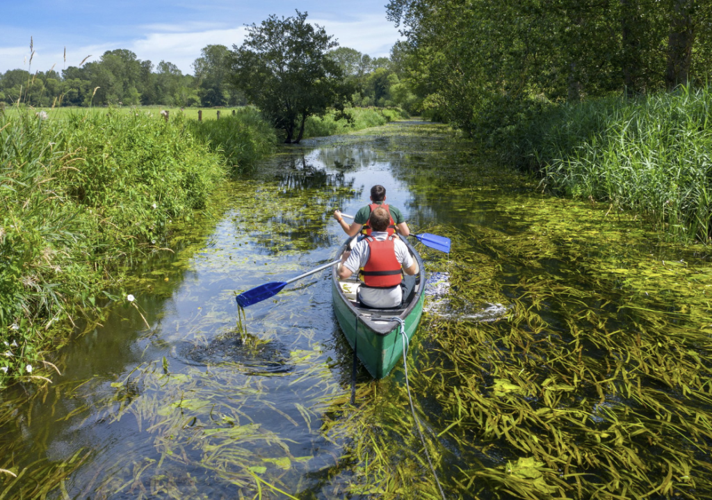The 10 best holiday parks in Norfolk for families, frugal mum travel guide, photo of forest holidays thorpe forest