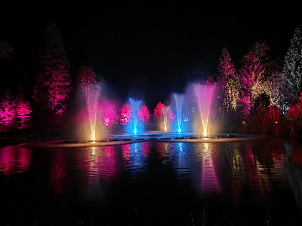 Kent with Kids, Frugal Mum Bedgebury Christmas Lights family guide & review, photo of lights on water