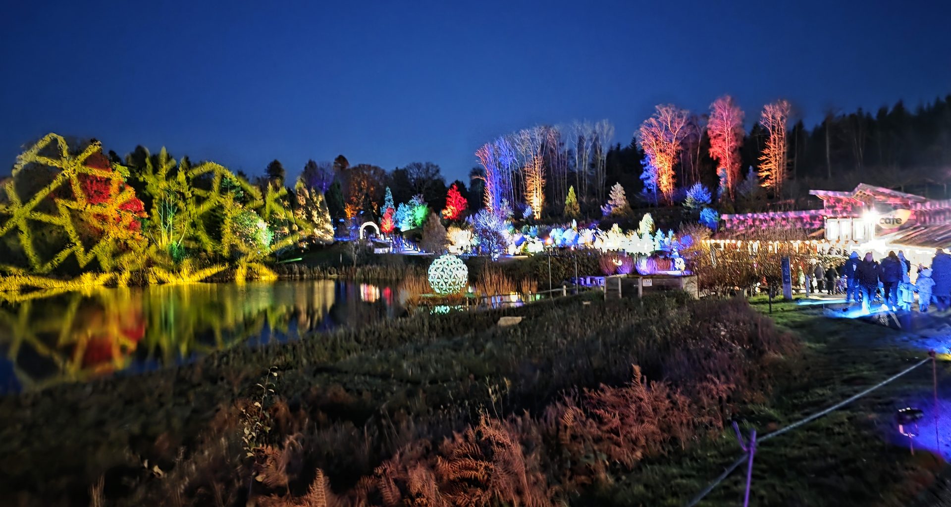 Kent with Kids, Frugal Mum Bedgebury Christmas Lights family guide and review