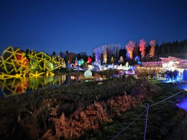 Kent with Kids, Frugal Mum Bedgebury Christmas Lights family guide and review