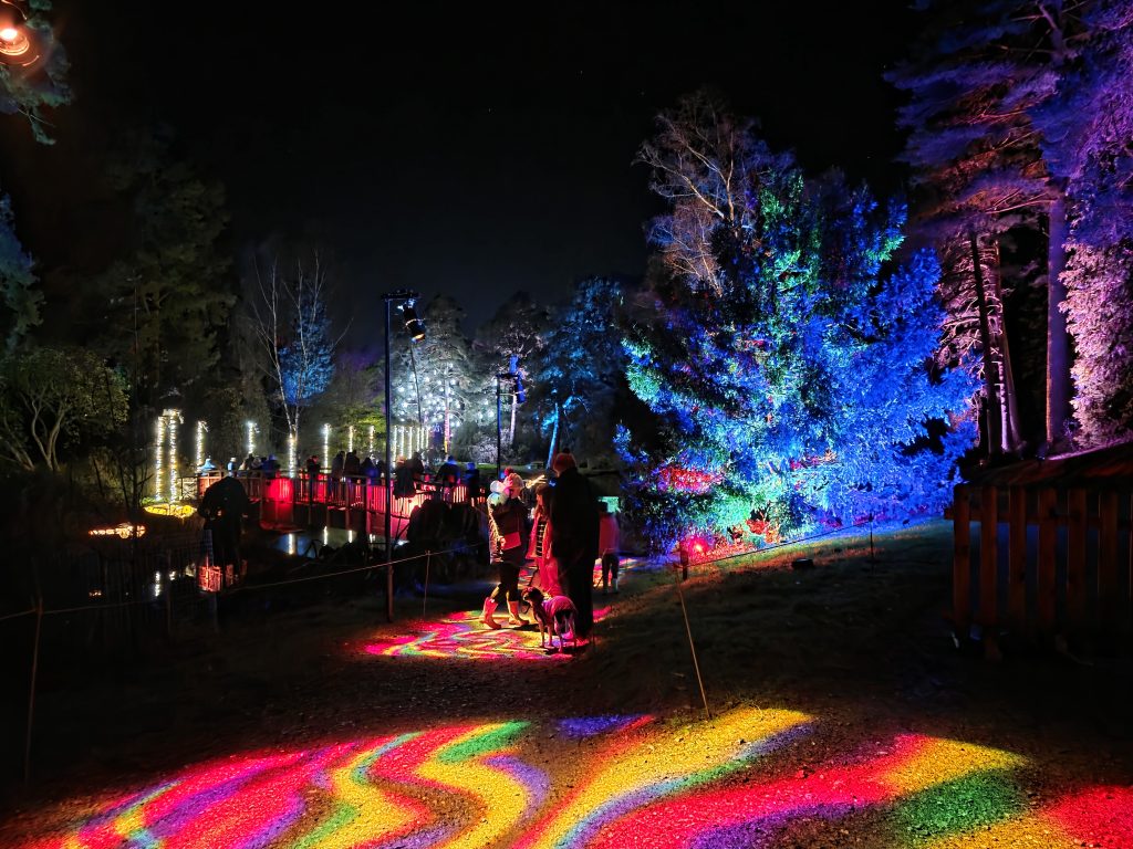 Kent with Kids, Frugal Mum Bedgebury Christmas Lights family guide & review, photo of lights