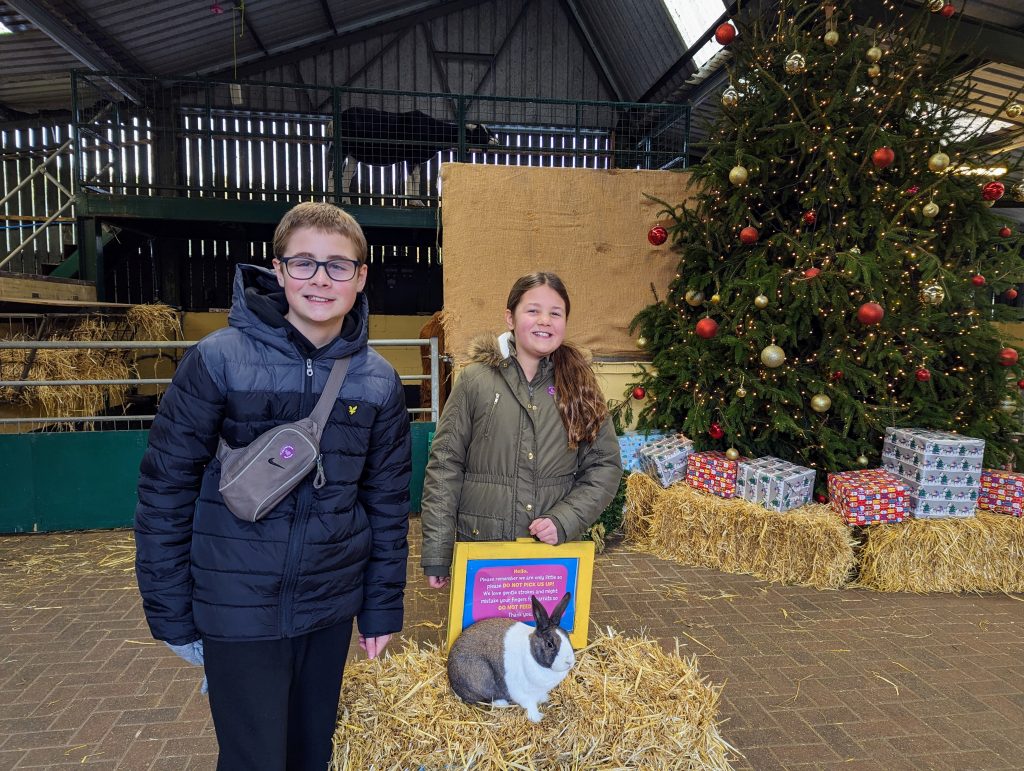 Kent with kids, the 10 best things to do at Christmas, frugal mum photo of children at rare breeds centre