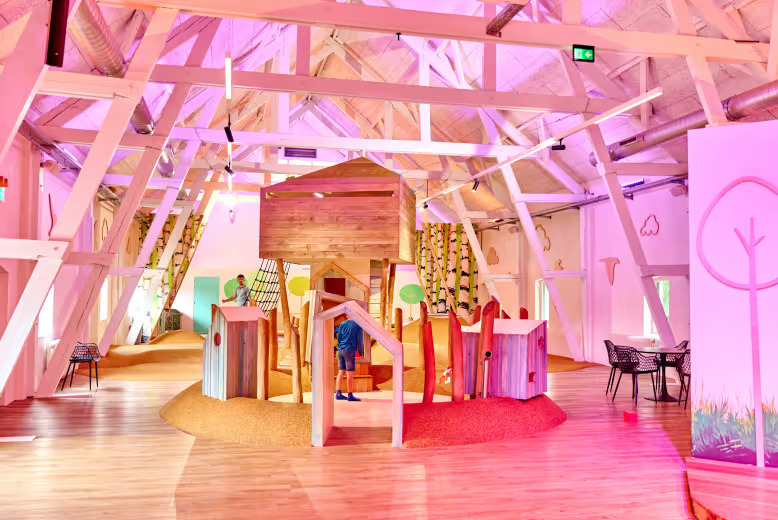 The best European Landal resorts for family winter holidays, frugal mum travel guide, photo of landal klein vink, netherlands