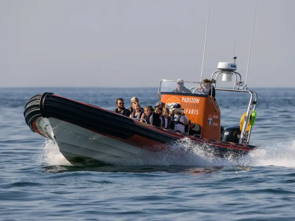 Best Things to Do in Cornwall with Kids, frugal mum travel guide, photo of boat trip