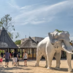 Lake Resort Beekse Bergen