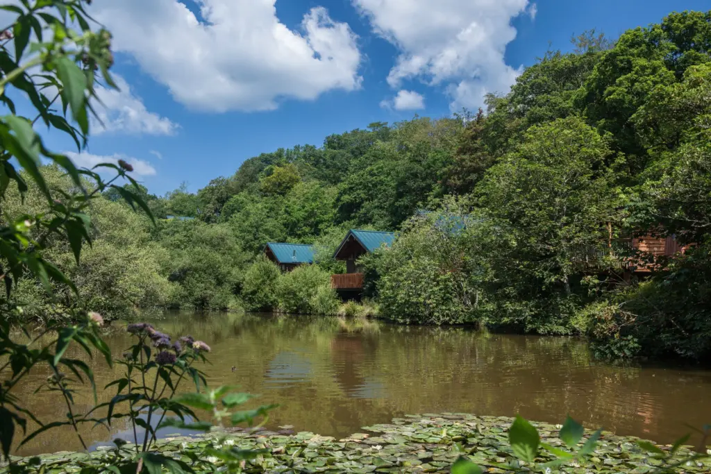 Forest Holidays Deerpark