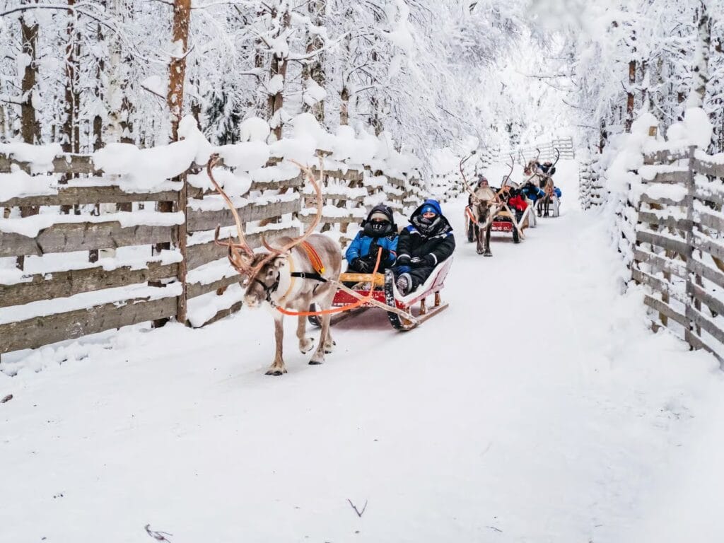 Husky Safaris in Rovaniemi which one is worth it, frugal mum travel guide, image of reindeer husky ride