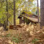 Forest Holidays Thorpe Forest Holiday Park