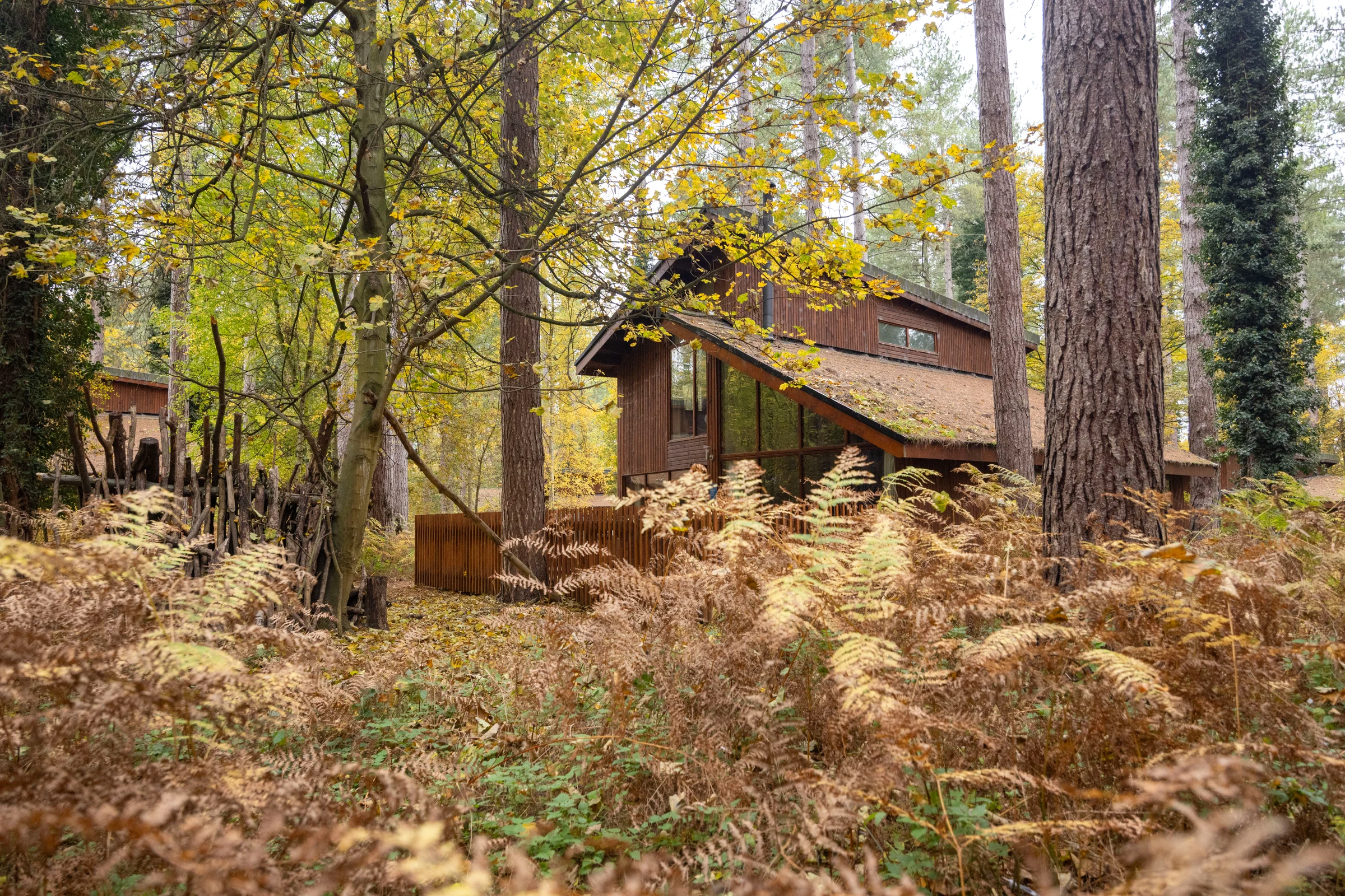 Forest Holidays Thorpe Forest Holiday Park