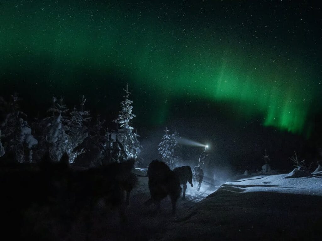 frugal mum northern lights rovaniemi travel guide, photo of husky aurora safari