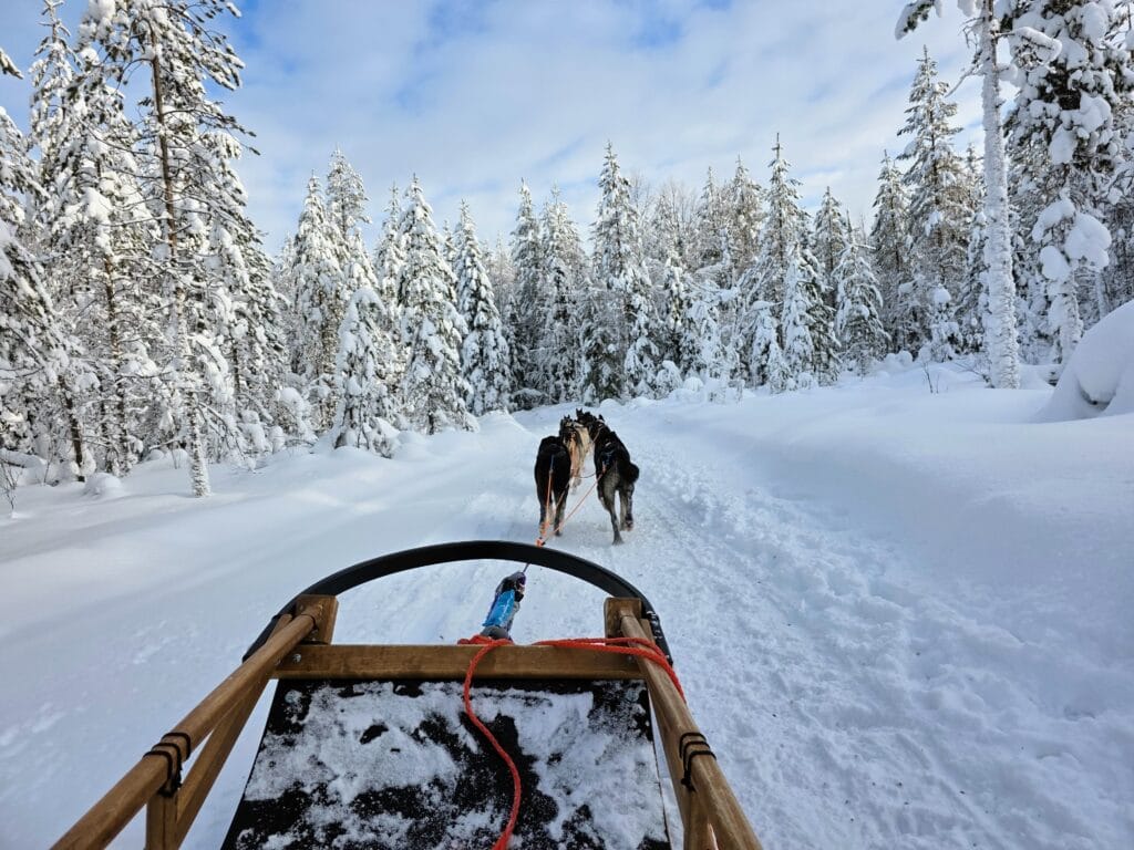 Husky Safaris in Rovaniemi which one is worth it, frugal mum travel guide