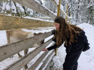 The 15 best things to do in Rovaniemi with kids, frugal mum Lapland travel guide
