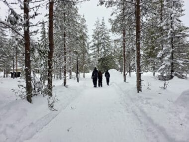 The best time to visit Lapland for families, frugal mum month by month travel guide